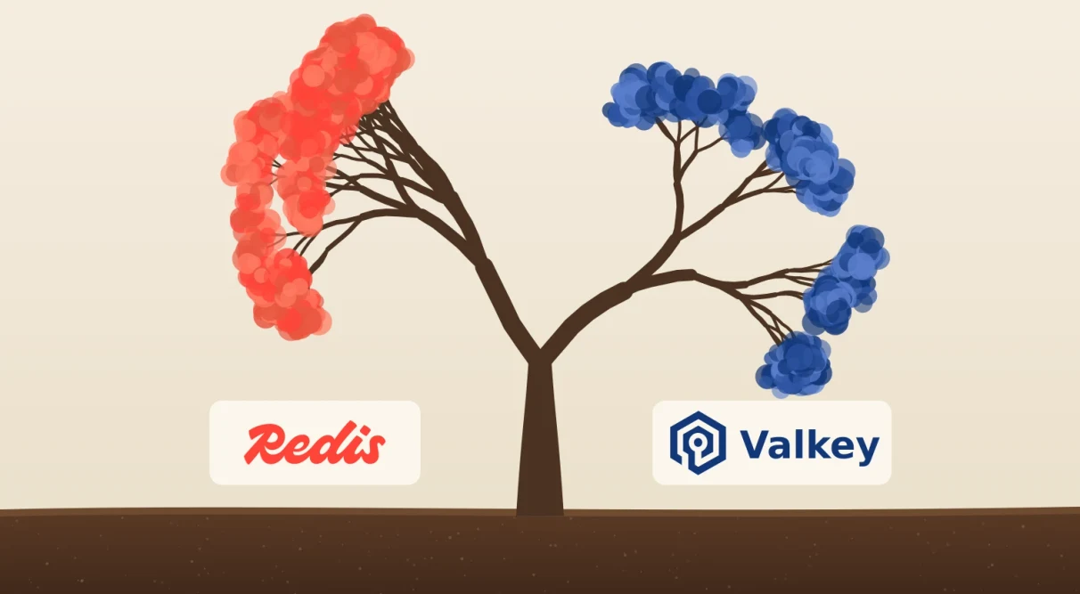 A single tree trunk splitting into two branches, one with red leaves labelled Redis and one with blue leaves labelled Valkey